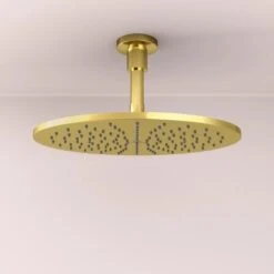 Ideal Standard Kopfbrauseanschluss Idealrain Atelier Gold -Geschäft Für Duschzubehör 887860 3049 2